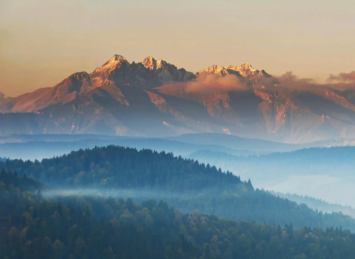 Kiedy wynająć krzesła w Warszawie i na co zwrócić uwagę?