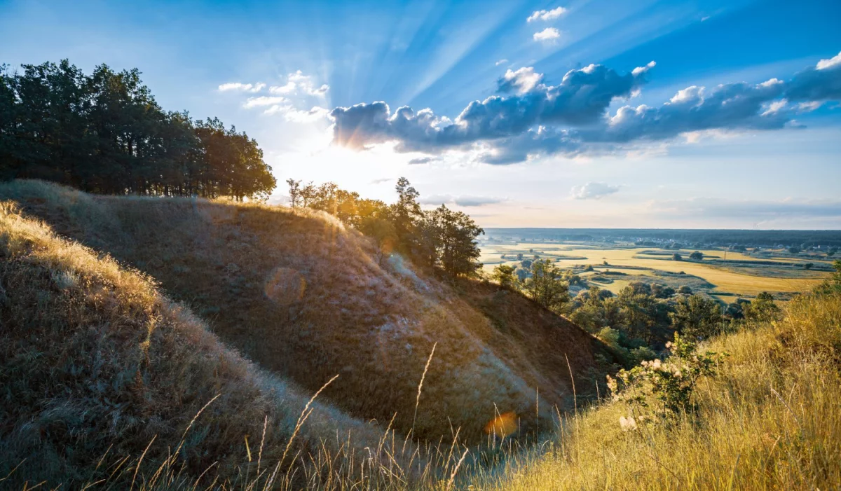 Naucz się jak jeść bez mięsa! 3 darmowych porad.
