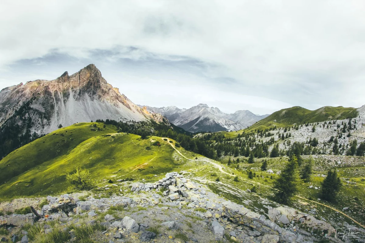 Kto może wypożyczyć stół?