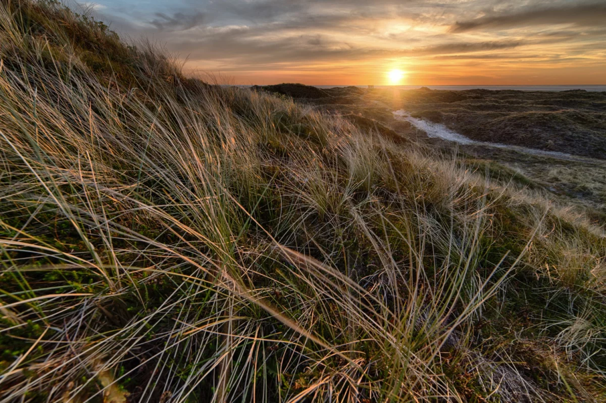 Sprawdzone metody jak zamontować klimatyzację