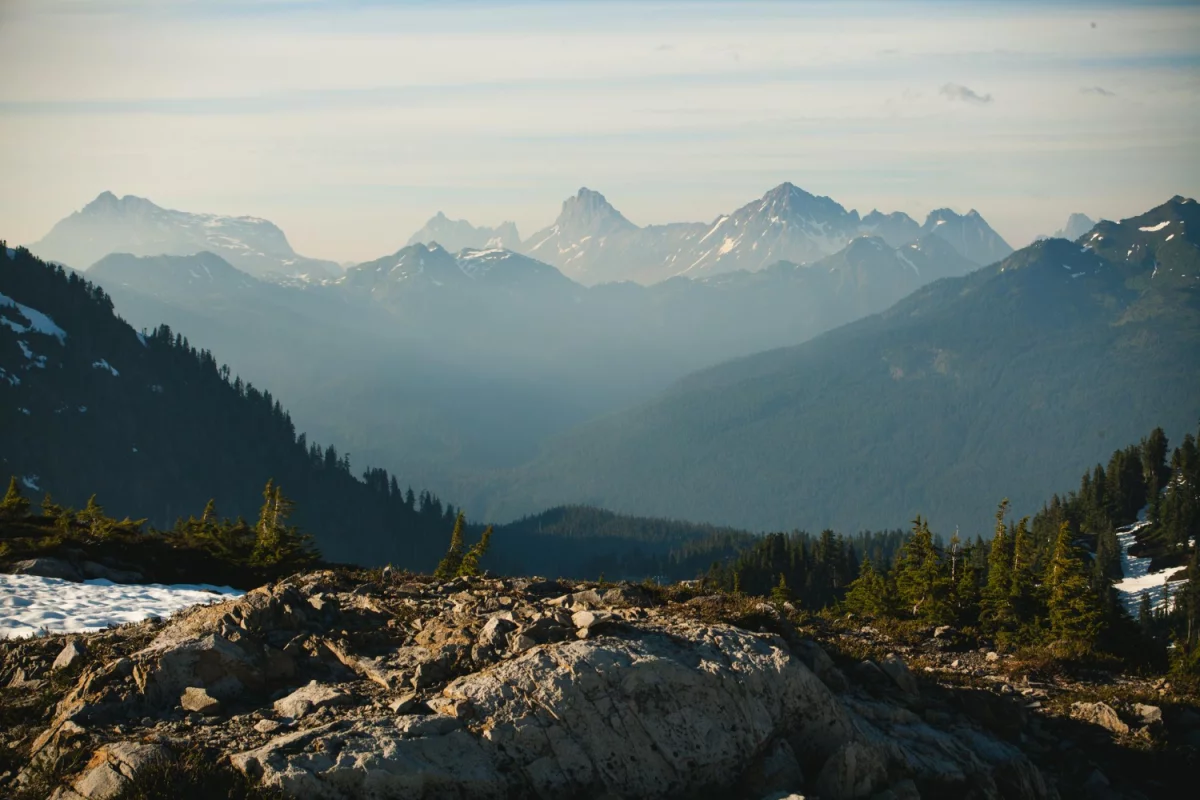 8,8 Internautów Już Wie Jak naprawić ekspres do kawy. A Ty?
