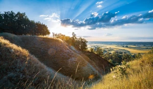 kupić paracord na metry profesjonalnie?